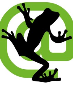 Screaming Frog v. 20.2 - Portable + 1 year personal license.